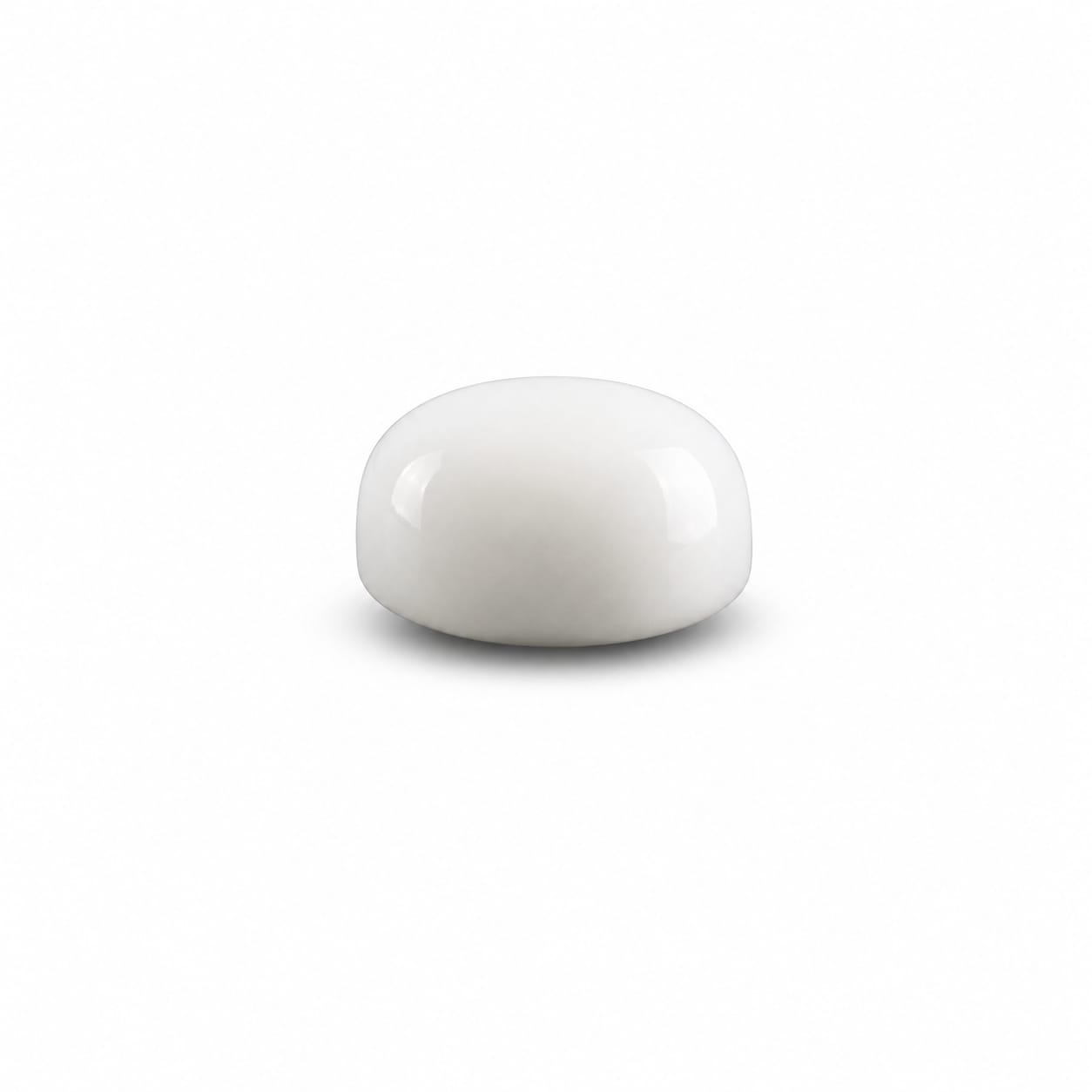 White Coral - Standard