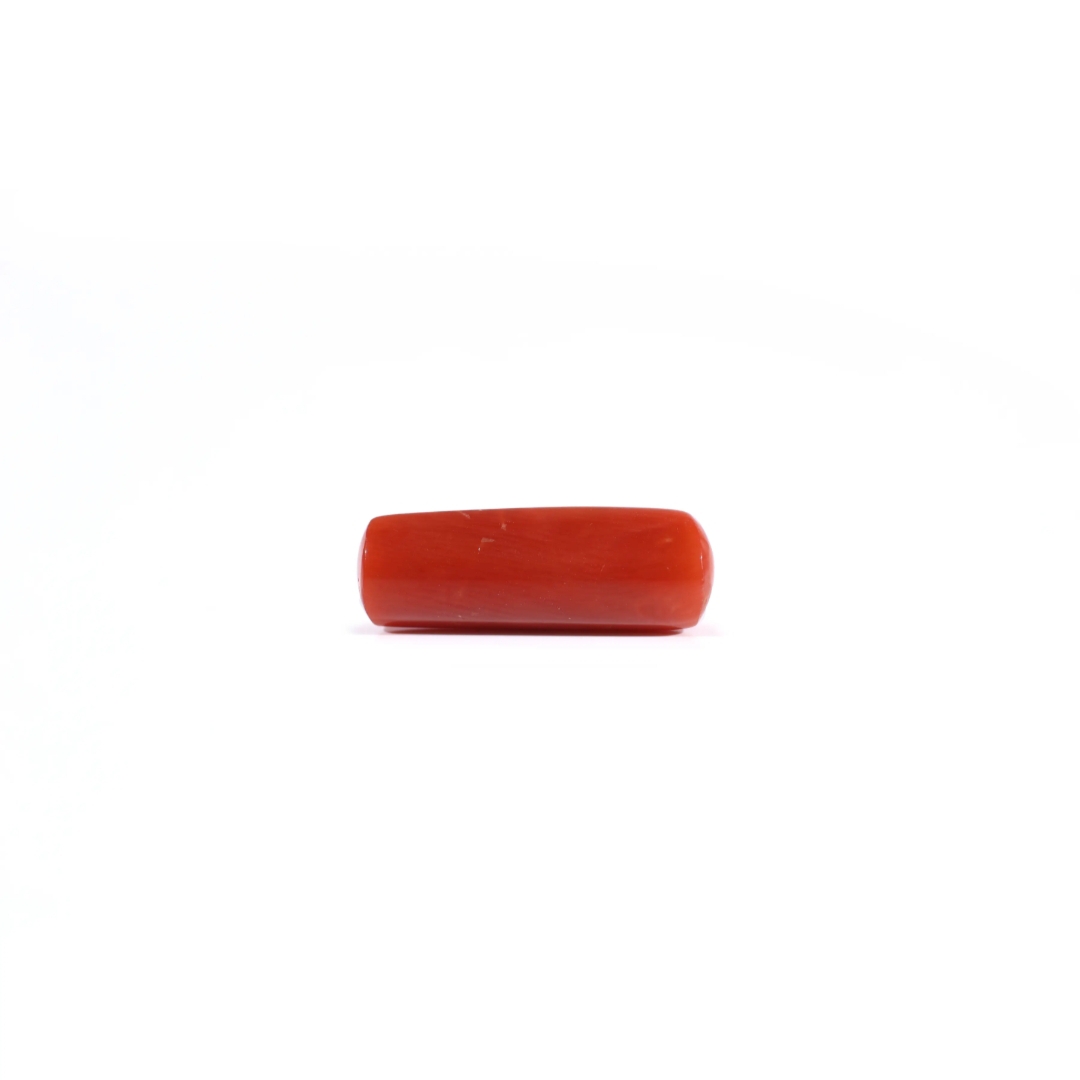 Coral - Best Seller