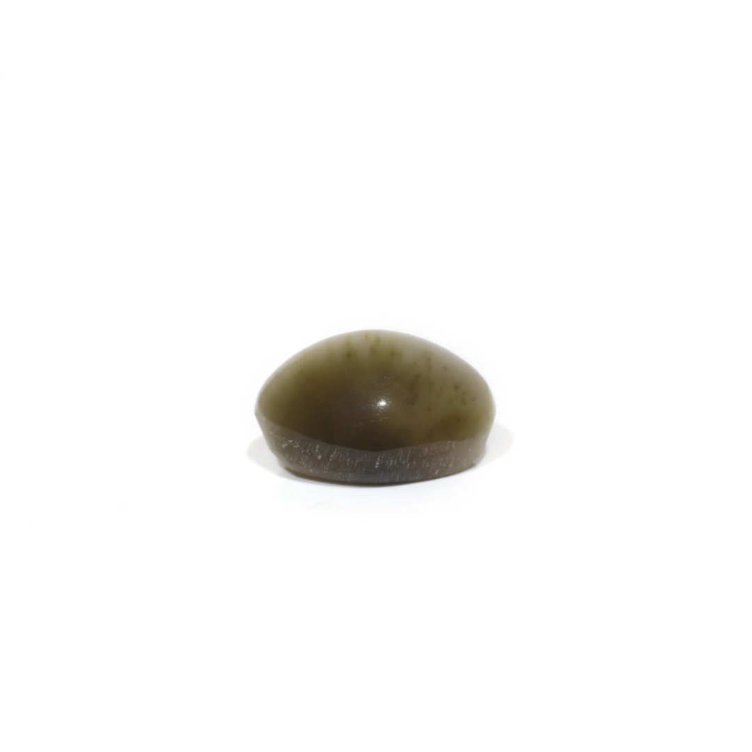 Cat's Eye (Lehsunia) - Standard