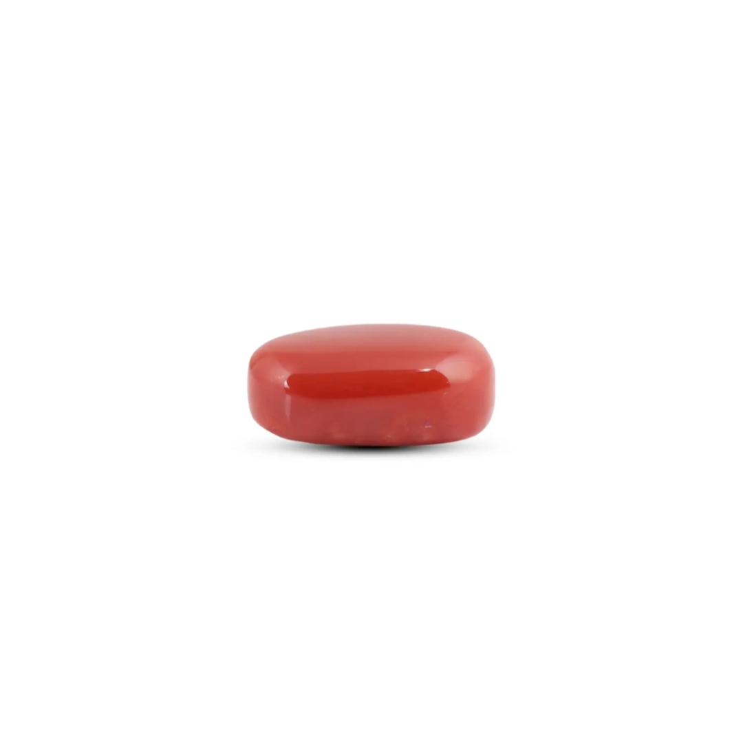 Coral - Premium