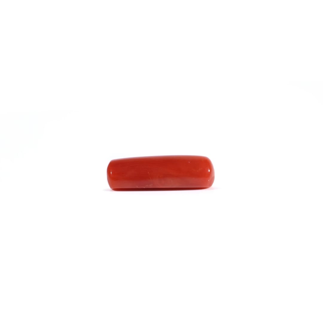 Coral - Best Seller