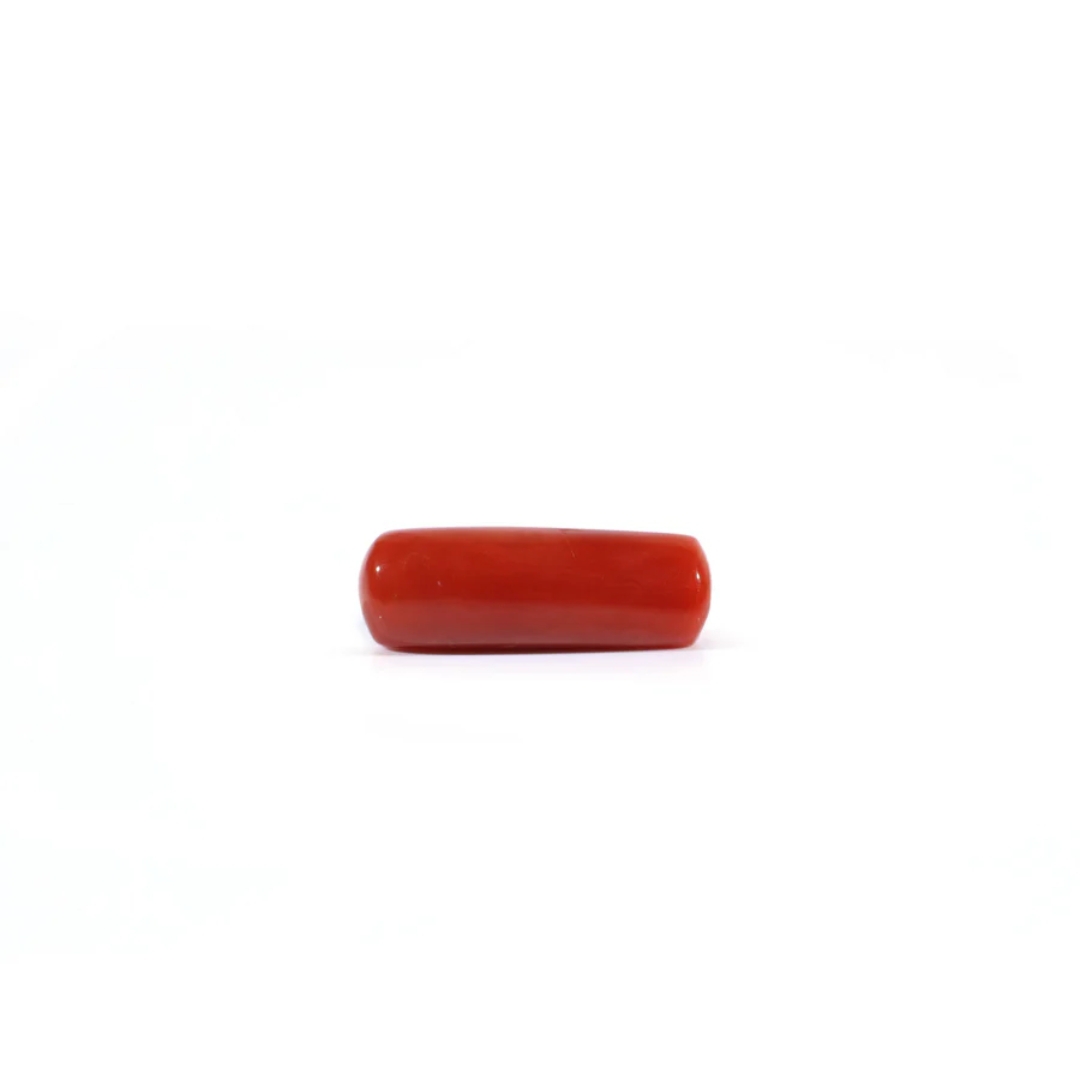 Coral - Best Seller