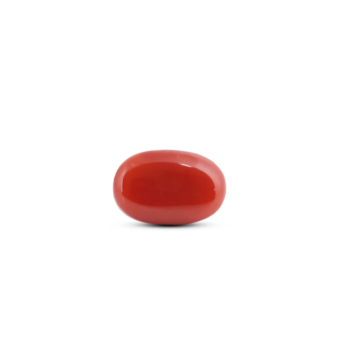 Coral - Premium