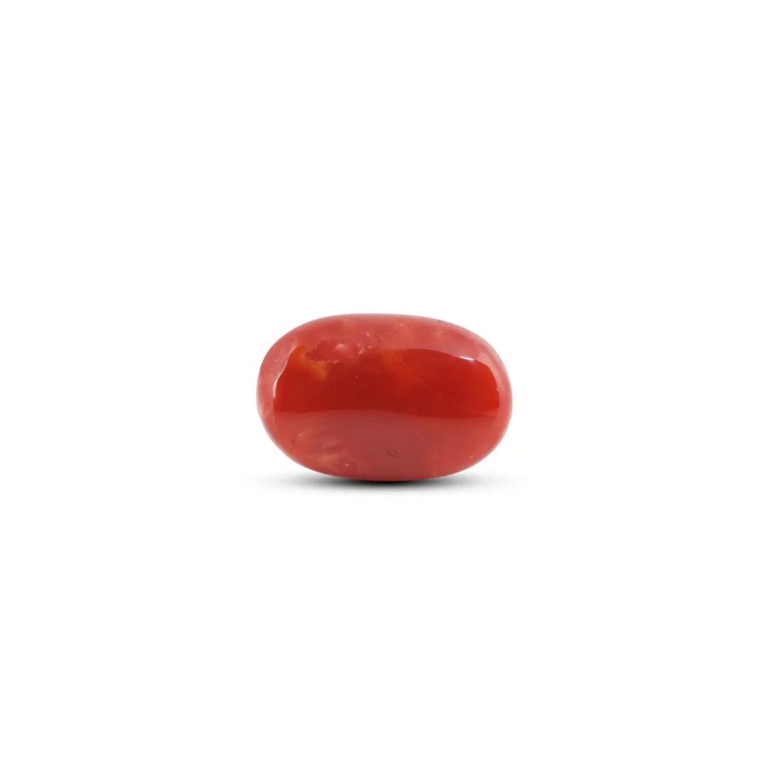 Coral - Premium